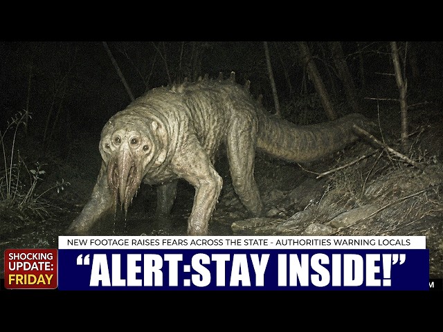 Trail Camera Captures Florida’s New Predator.. It’s Not a Python & Hunts Humans