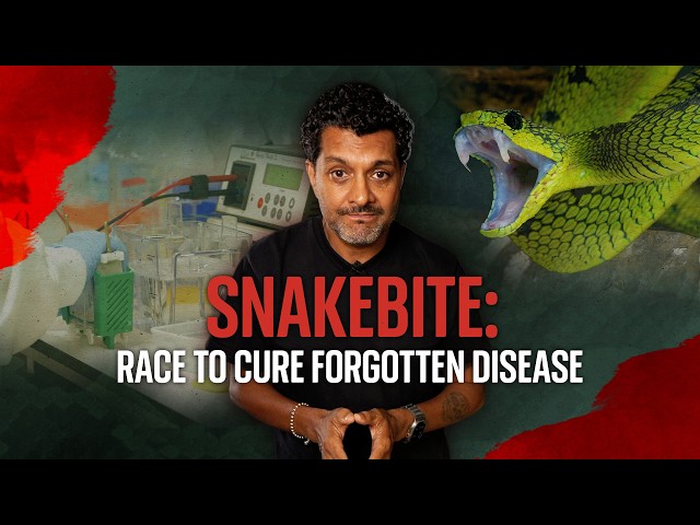 On the brink of a cure for world's deadliest snakebites