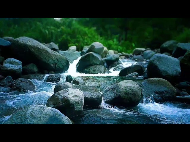 Nature’s River Flow Sleep Sounds for Deep Sleep & Inner Calm After Stressful Day