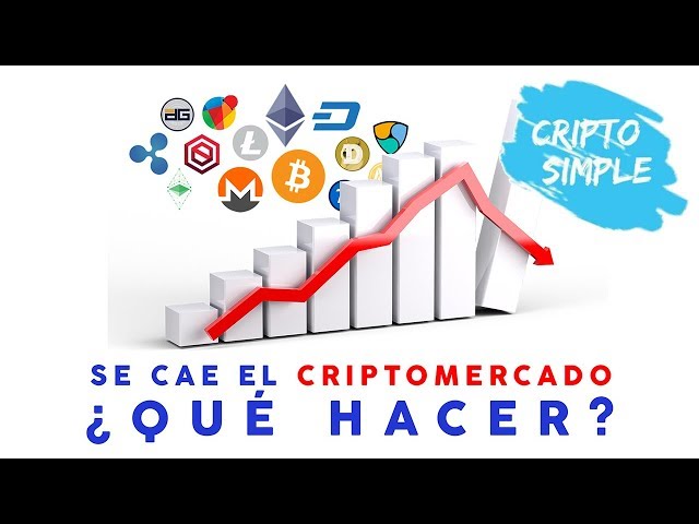 ¡Se cae el criptomercado! Altcoins sufren - Análisis express del 14 de Agosto