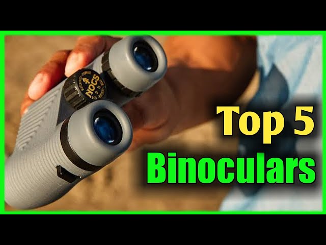 Top 5 Binoculars - Best Binoculars for the Money