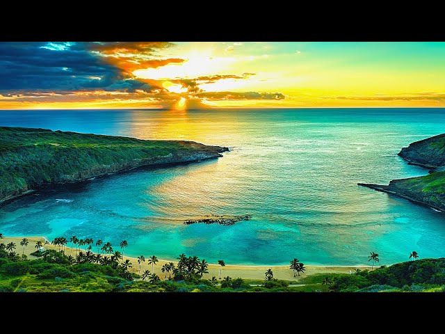 Relaxing Music for Stress Relief. Soothing Sleep Music. Relaxation. Beats Insomnia