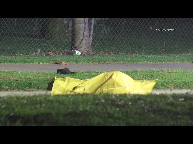 Pedestrian Fatally Struck Near Mile Square Park | Fountain Valley, CA