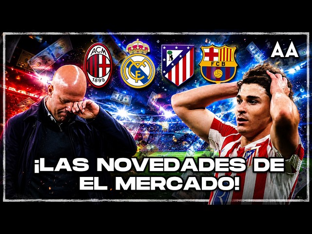 ¡Al mercado todos los días! Las últimas novedades! 