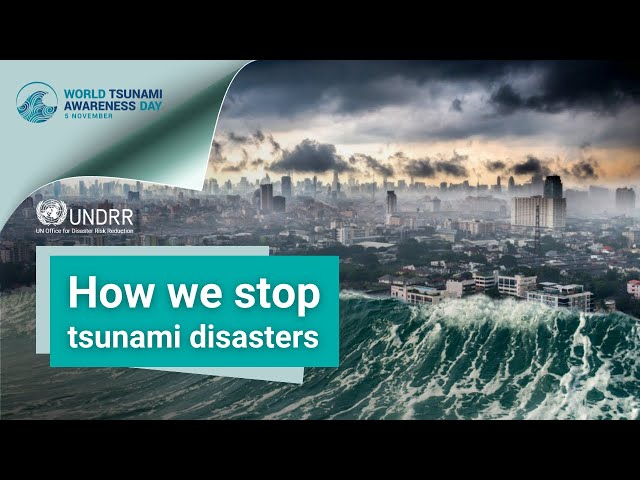 We can’t stop tsunamis — but we can prevent disasters | UNDRR
