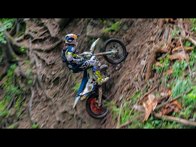 Erzberg Rodeo 2025 | Hare Scramble | ¡Sin piedad para los novatos! | Lo más destacado