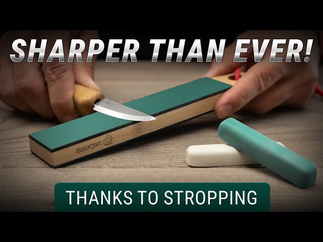 The Cheapest Way to Sharpen Any Knife (That Actually Works)?