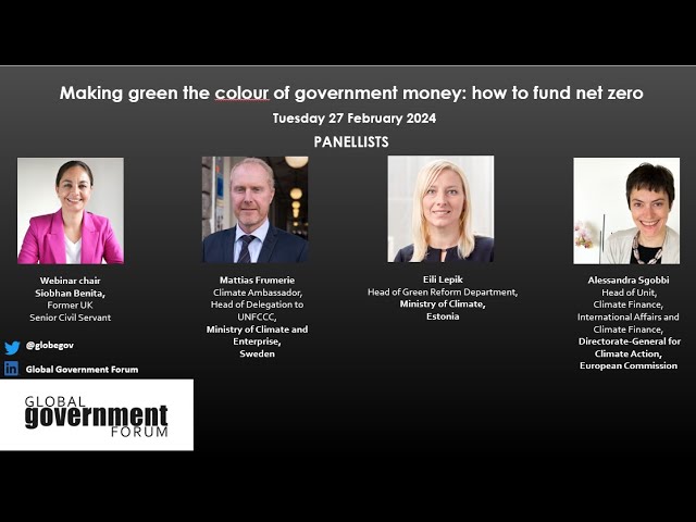 Making green the colour of government money: how to fund net zero