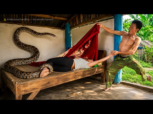 72 Hours No Escape: A Giant Python Invades the Bedroom and Traps a Helpless Girl!