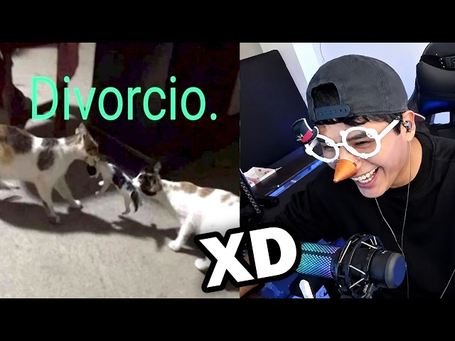 1 HORA DE MEMES RANDOM #19