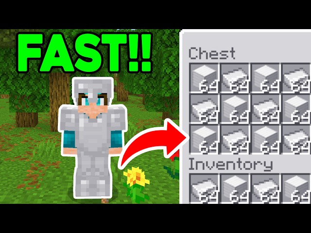 How To Find Iron FAST In Minecraft! - Java & Bedrock