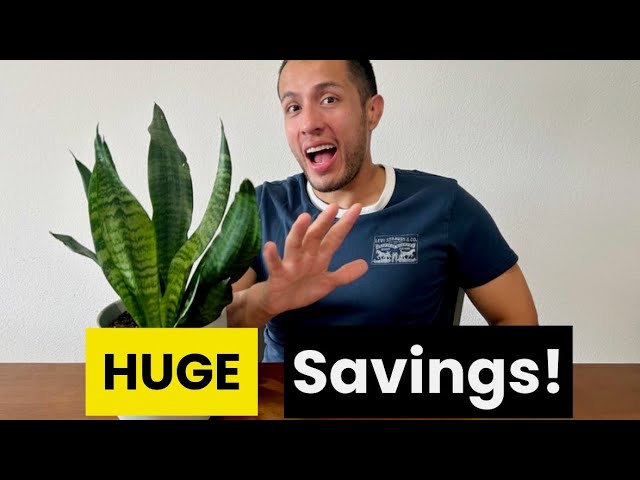 5 Huge Money Saving Tips