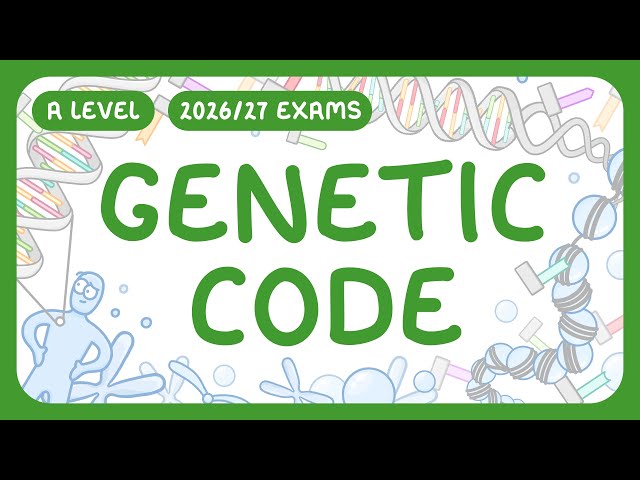 A-Level Biology - Genetic Code | How DNA Packs into Chromosomes | Codon Tables (2026/27 exams)