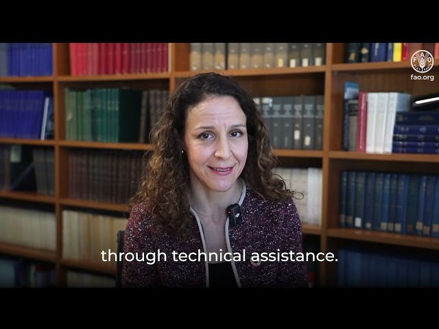 AMR Farmyard – Expert video on the policymaker