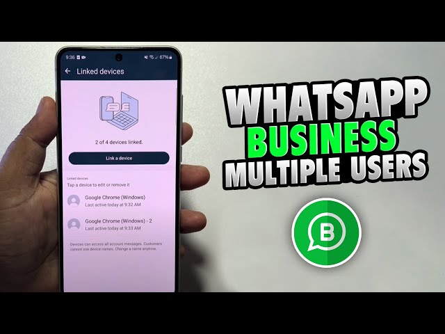 WhatsApp Business Multiple Users: A Beginners Guide