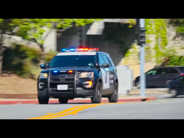 Hilsborough Police K-9 Responding Code 3!