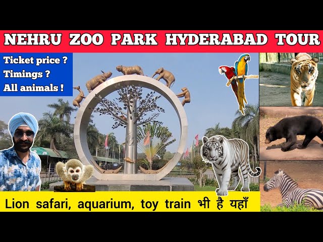 Hyderabad zoo park nehru zoological park hyderabad zoo park all animals | Hyderabad zoo park safari