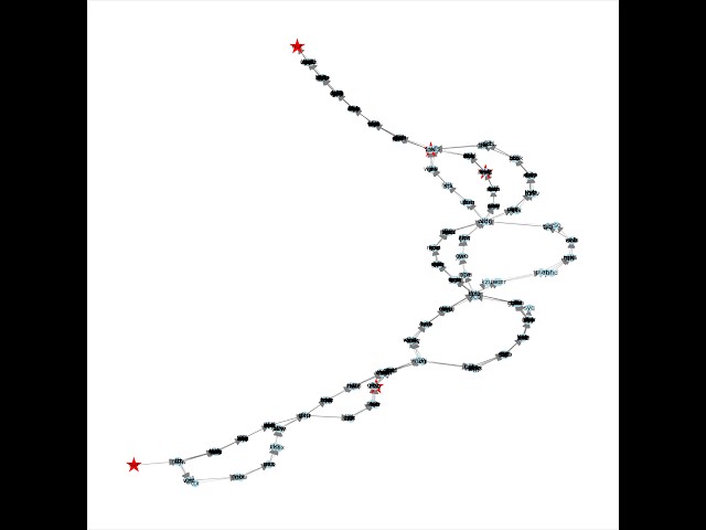 Advent of Code 2025 Day 11: Graphs and Dynamic Programming [Python]