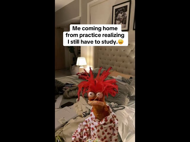 Having to study after school & practice