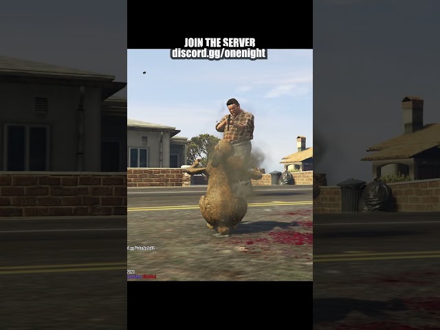 Rabbit Sniff Trolling in GTA 5