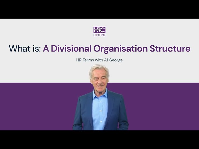 What is Divisional Organisation Structure
