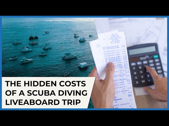 The Hidden Costs of a Scuba Liveaboard Trip w/@Emperordivers