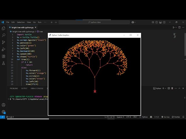 Create a Bright Tree Using Python Turtle Graphics | GK with Dilawer Hussain Warraich
