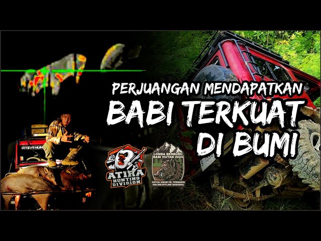 BABI TERKUAT DI BUMI | FULL DOCUMENTARY LOMBA BERBURU KETUM PB. PERBAKIN NASIONAL 2024 #berburu