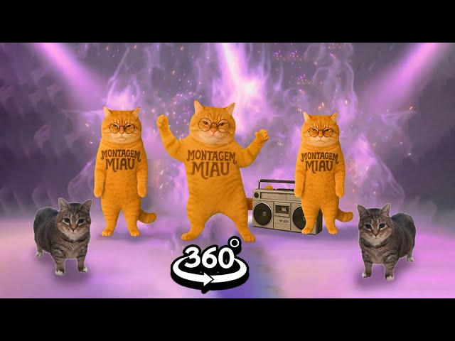 MONTAGEM MIAU OIIA OIIA (Spinning Cat) Ay Mi Gatito, Miau, Miau (Letra) 4K in 360° VR