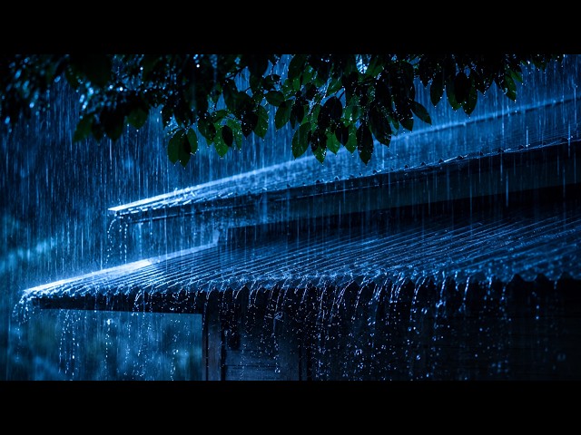 RAIN SOUNDS in Dark Forest Cabin   Soothing Night Rain Sounds for a Good Night's Sleep ⛈