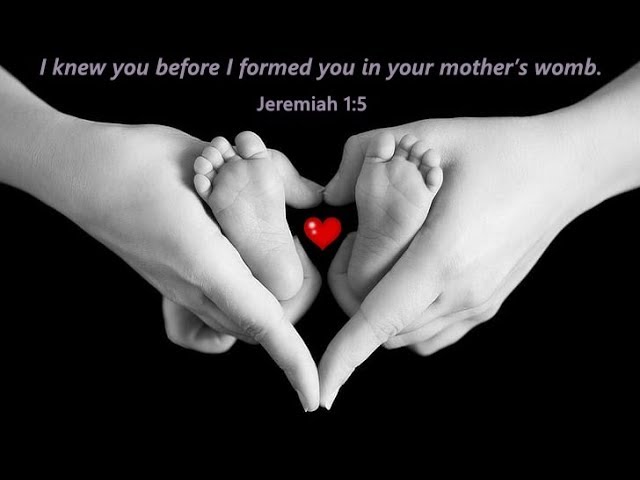 Suddenly Your in Love / LOVE SONG