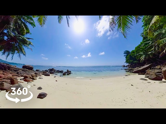 8K 360° VR Seychelles Beach | Sunny Day, Palm Trees & Relaxing Ocean Waves