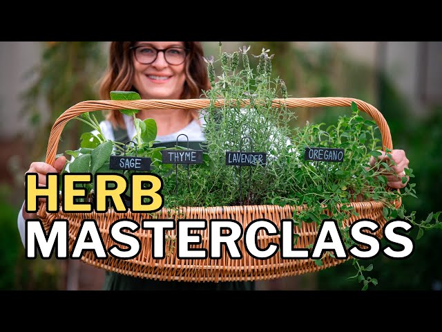 GROW HERBS in Hot Climates: Top 10 Tips for a Thriving Herb Garden