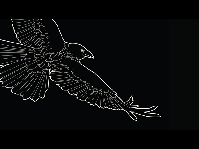 mxrningstar - хүн ft. Céline Dessberg (lyric video)