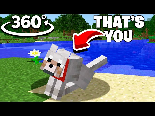 You're a dog and Steve is fishing for a meal...