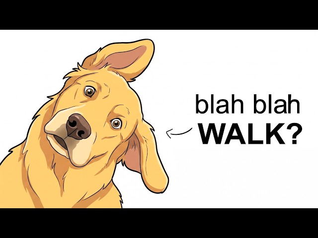 Can Dogs Understand What We're Saying? (Science Explained)