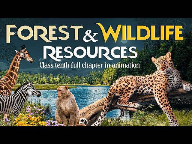 Forest and Wildlife Resources Class 10 cbse full chapter (Animation) | Class 10 Geography Chapter 2