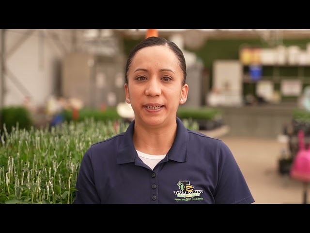 Inside TreeSource Citrus Nursery | Production, Clean Stock & Technology Tour (Fall 2023)