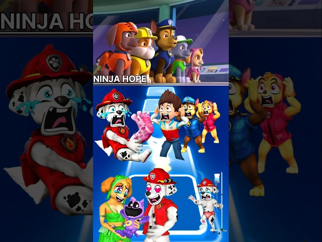 PAW Patrol:  - Zuma - Skye 🆚  Marshall - Ryder 🆚 Chase - Rocky Tiles Hop EDM Rush 🎧🤍 #2646