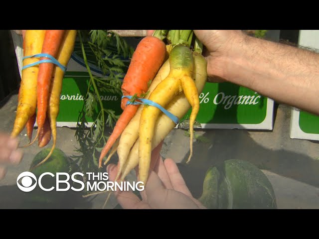 Is "ugly produce" the key to our food waste problem?