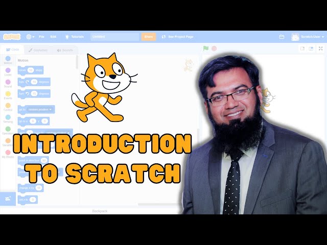 Introduction to Scratch | Scratch Tutorial in Hindi/Urdu | Lesson 1 | The Smart School Ghotki Campus