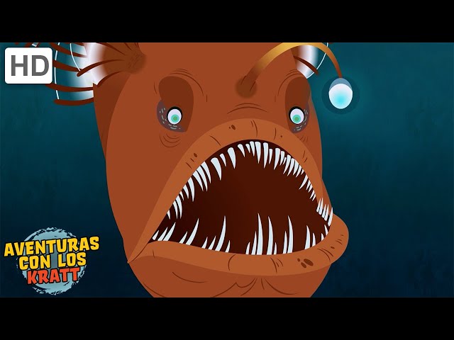 Criaturas de miedo del océano [episodios completos] Aventuras con los Kratt
