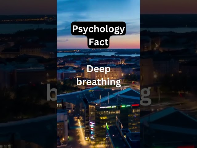 Psychology  Fact | The Casle