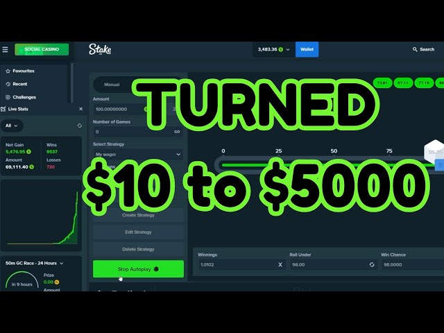 I turned $10 to $5000 Stake Dice Strategy