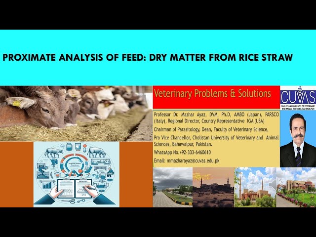 Feed Analysis