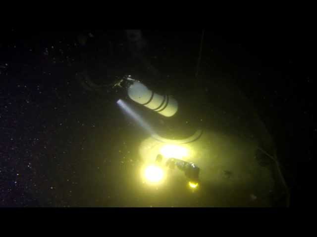 Elephant Passes through Needle's Eye with Stealth 2.0 Sidemount System