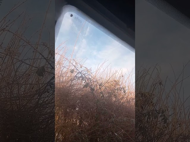 please listen carefully