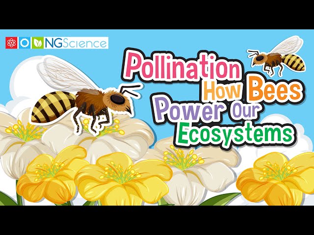 Pollination: How Bees Power Our Ecosystems