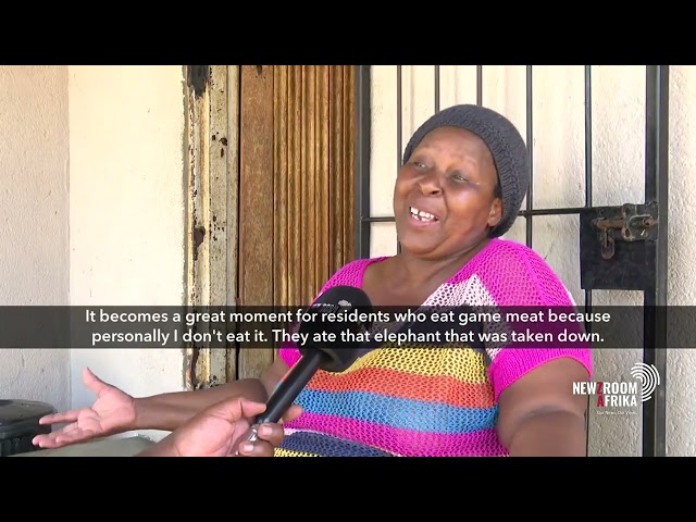 Mpumalanga people asked to stop building houses near KNP fence