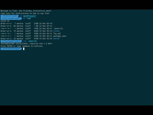 Sane-cli and Sane Stack introduction